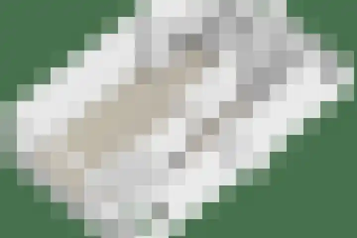Flierstraat 14 Lage Zwaluwe thumbnail 62