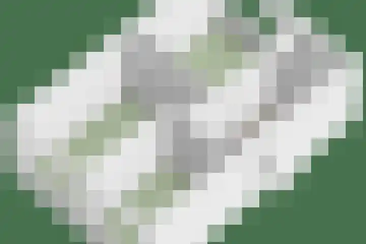 Flierstraat 14 Lage Zwaluwe thumbnail 63