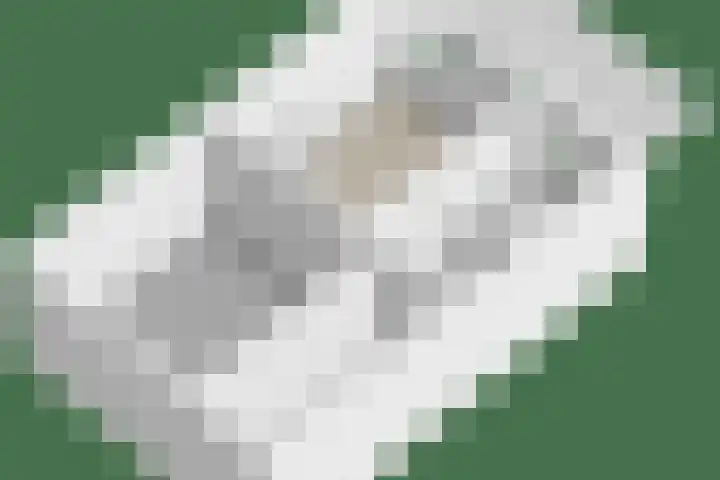 Flierstraat 14 Lage Zwaluwe thumbnail 64
