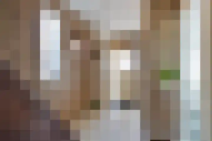 Flierstraat 14 Lage Zwaluwe thumbnail 8