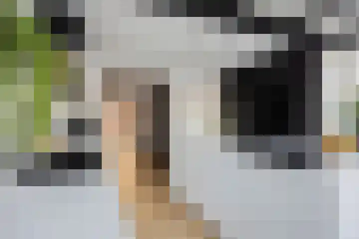 Flierstraat 24 Lage Zwaluwe thumbnail 16