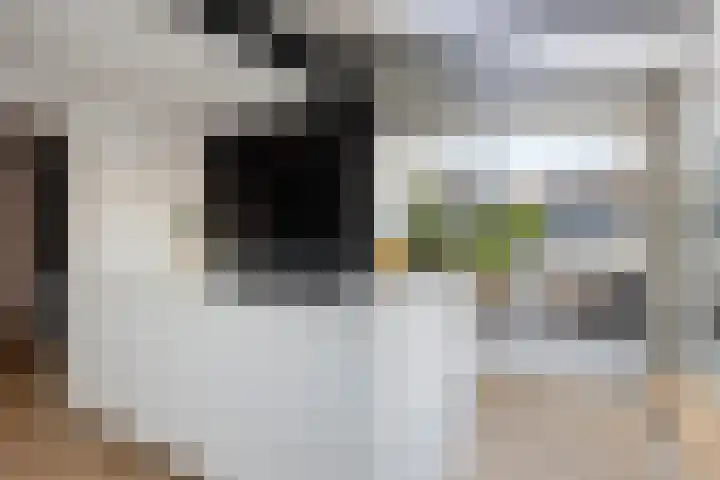 Flierstraat 24 Lage Zwaluwe thumbnail 17