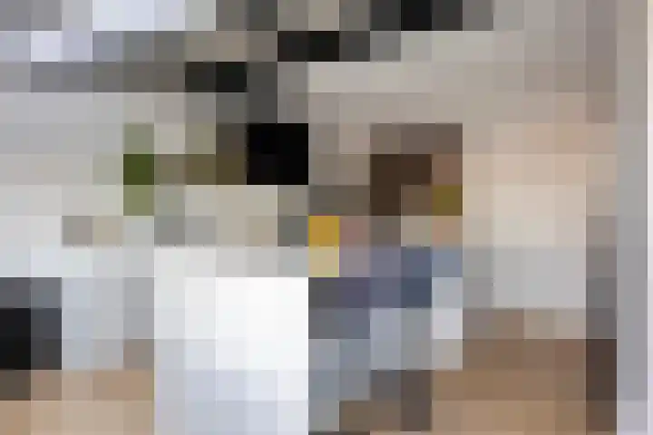 Flierstraat 24 Lage Zwaluwe thumbnail 18