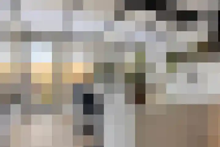 Flierstraat 24 Lage Zwaluwe thumbnail 19