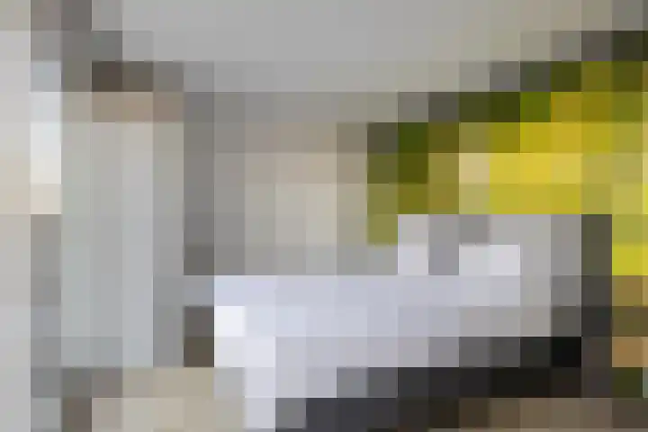 Flierstraat 24 Lage Zwaluwe thumbnail 24