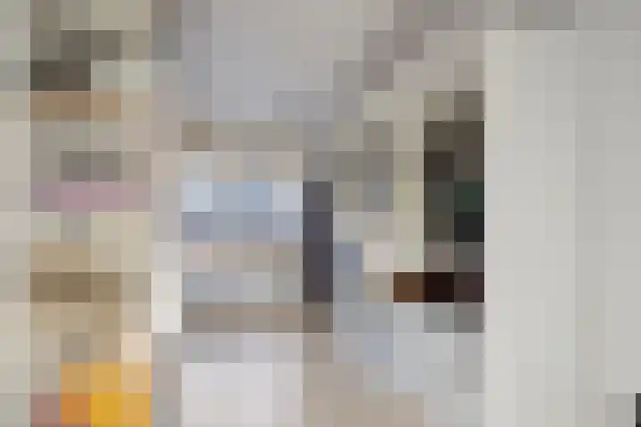 Flierstraat 24 Lage Zwaluwe thumbnail 34