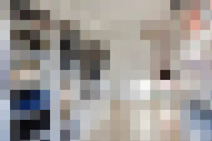 Flierstraat 24 Lage Zwaluwe thumbnail 35
