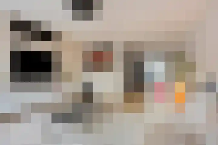 Flierstraat 24 Lage Zwaluwe thumbnail 9