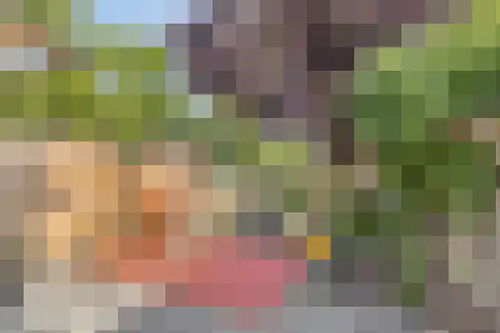 Flierstraat 28 Lage Zwaluwe thumbnail 28