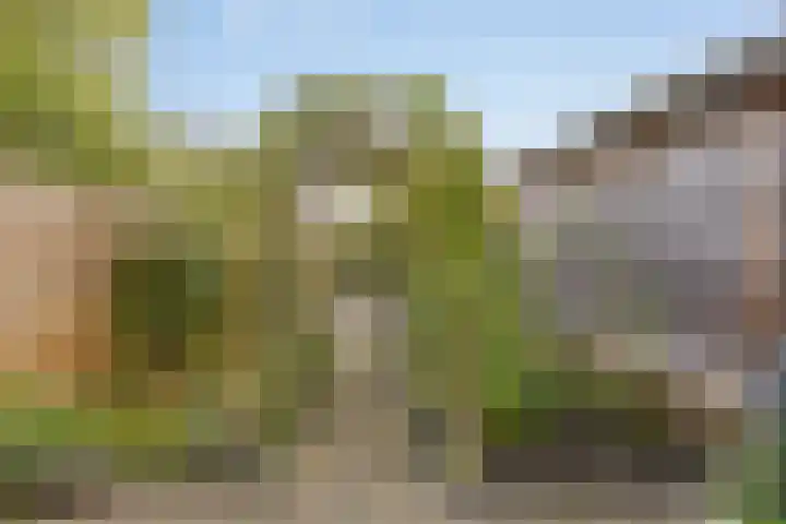 Flierstraat 28 Lage Zwaluwe thumbnail 30