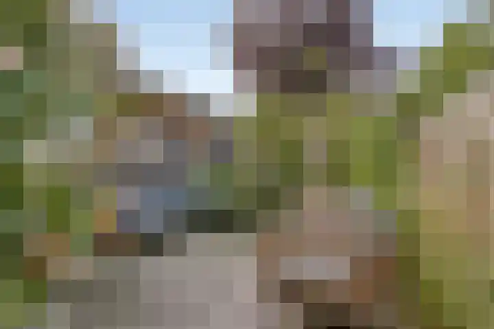 Flierstraat 28 Lage Zwaluwe thumbnail 31