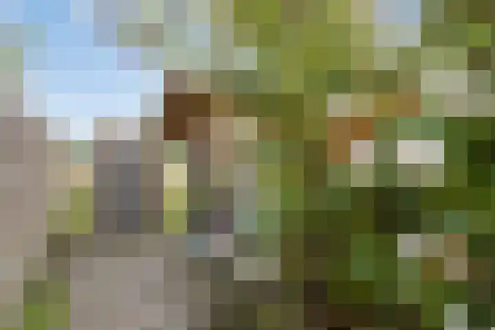 Flierstraat 28 Lage Zwaluwe thumbnail 32