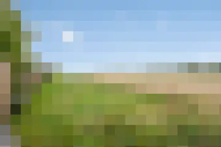 Flierstraat 28 Lage Zwaluwe thumbnail 35