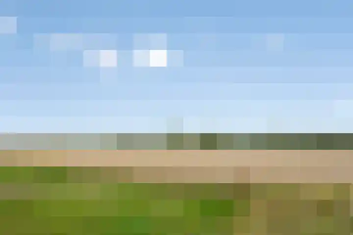 Flierstraat 28 Lage Zwaluwe thumbnail 36