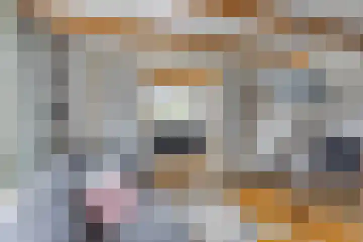 Flierstraat 29 Lage Zwaluwe thumbnail 11