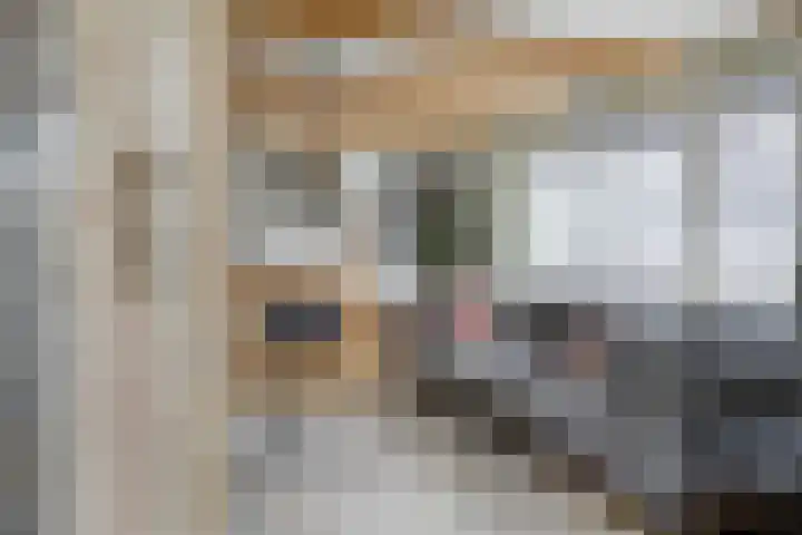 Flierstraat 29 Lage Zwaluwe thumbnail 12