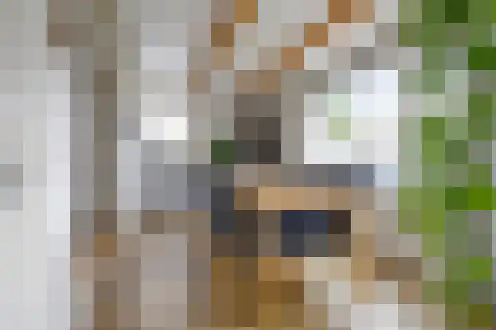Flierstraat 29 Lage Zwaluwe thumbnail 13