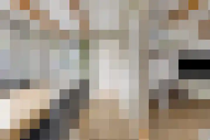 Flierstraat 29 Lage Zwaluwe thumbnail 14