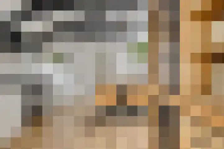 Flierstraat 29 Lage Zwaluwe thumbnail 15