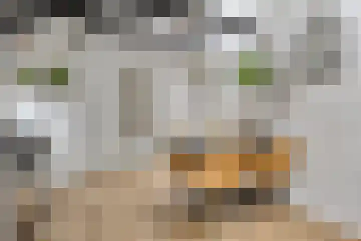 Flierstraat 29 Lage Zwaluwe thumbnail 16