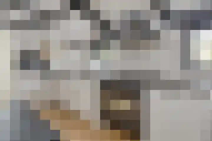 Flierstraat 29 Lage Zwaluwe thumbnail 18