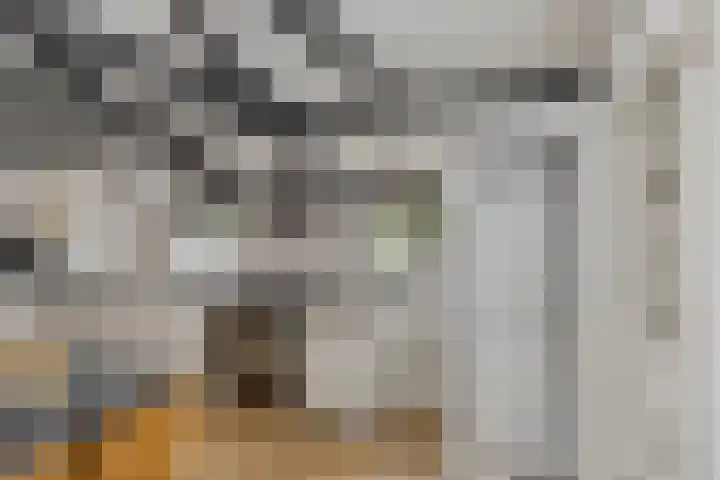 Flierstraat 29 Lage Zwaluwe thumbnail 19