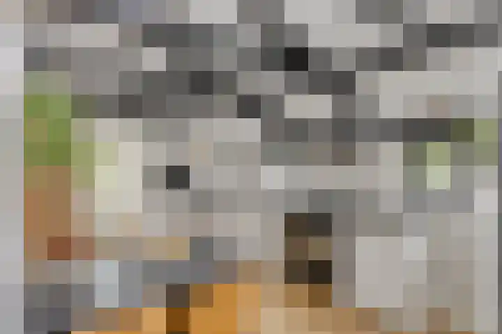 Flierstraat 29 Lage Zwaluwe thumbnail 20