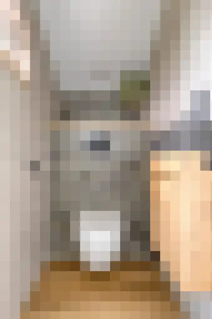 Flierstraat 29 Lage Zwaluwe thumbnail 21