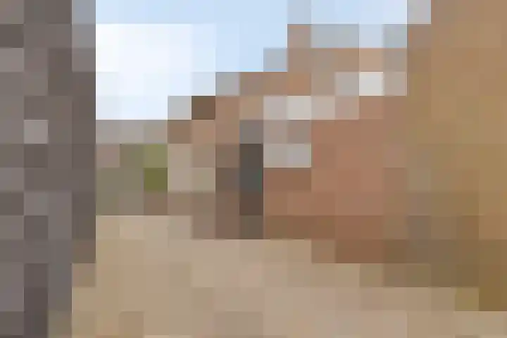 Flierstraat 29 Lage Zwaluwe thumbnail 35
