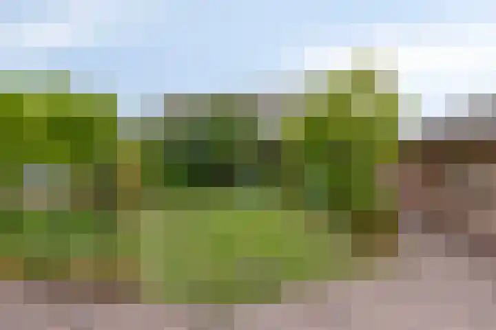 Flierstraat 29 Lage Zwaluwe thumbnail 5