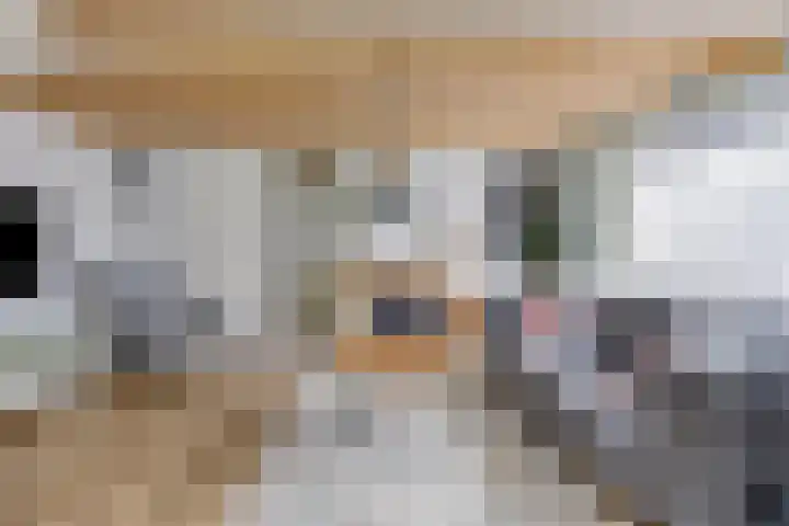 Flierstraat 29 Lage Zwaluwe thumbnail 9