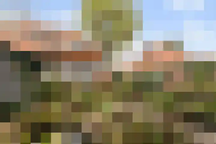 Flierstraat 36 Breda thumbnail 31