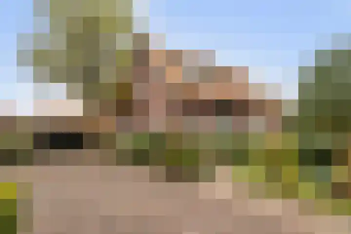 Flierstraat 36 Breda thumbnail 38