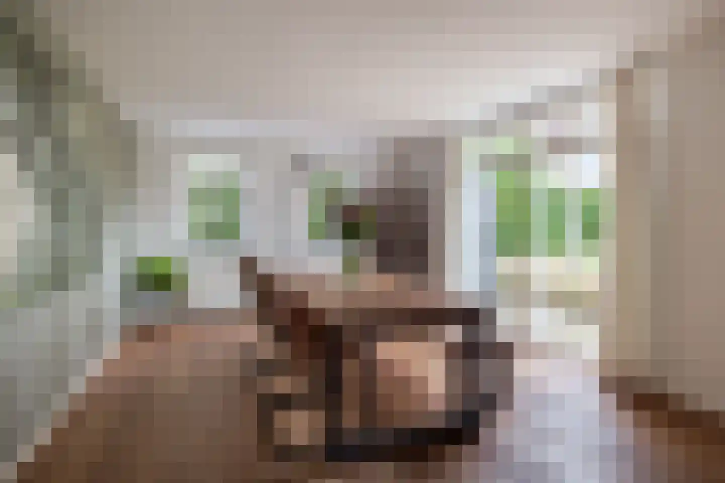 Flierstraat 4 Lage Zwaluwe thumbnail 16