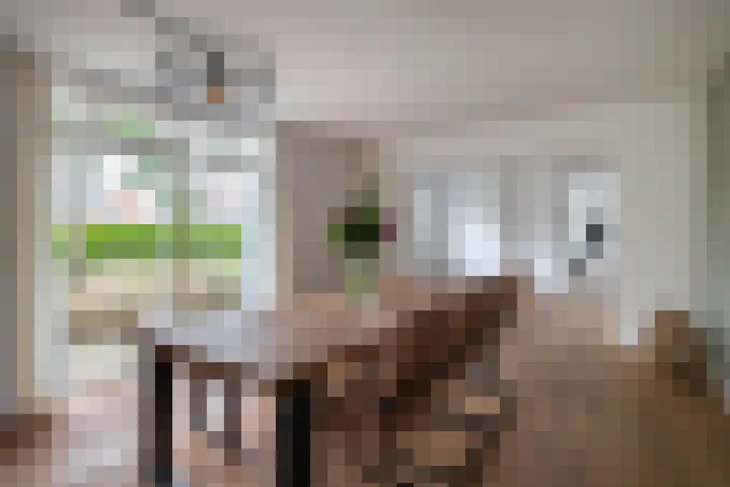 Flierstraat 4 Lage Zwaluwe thumbnail 18