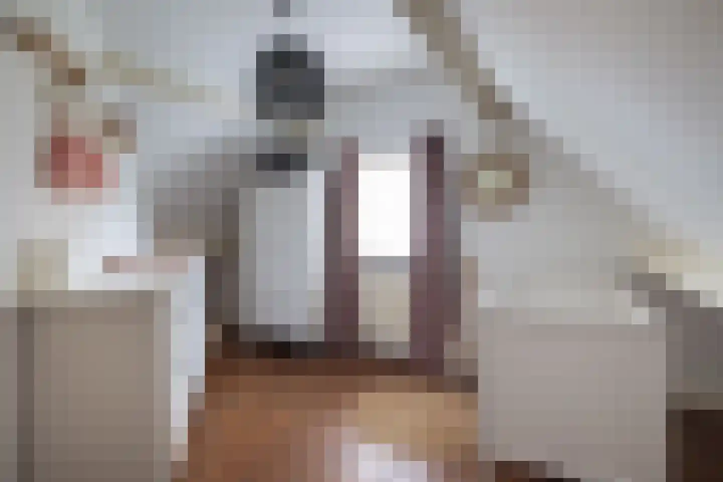 Flierstraat 4 Lage Zwaluwe thumbnail 26