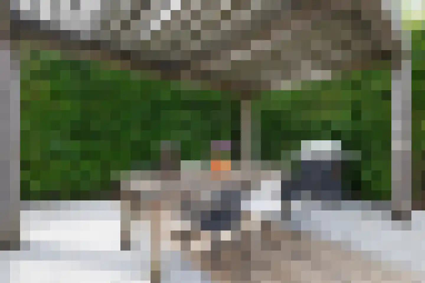 Flierstraat 4 Lage Zwaluwe thumbnail 4