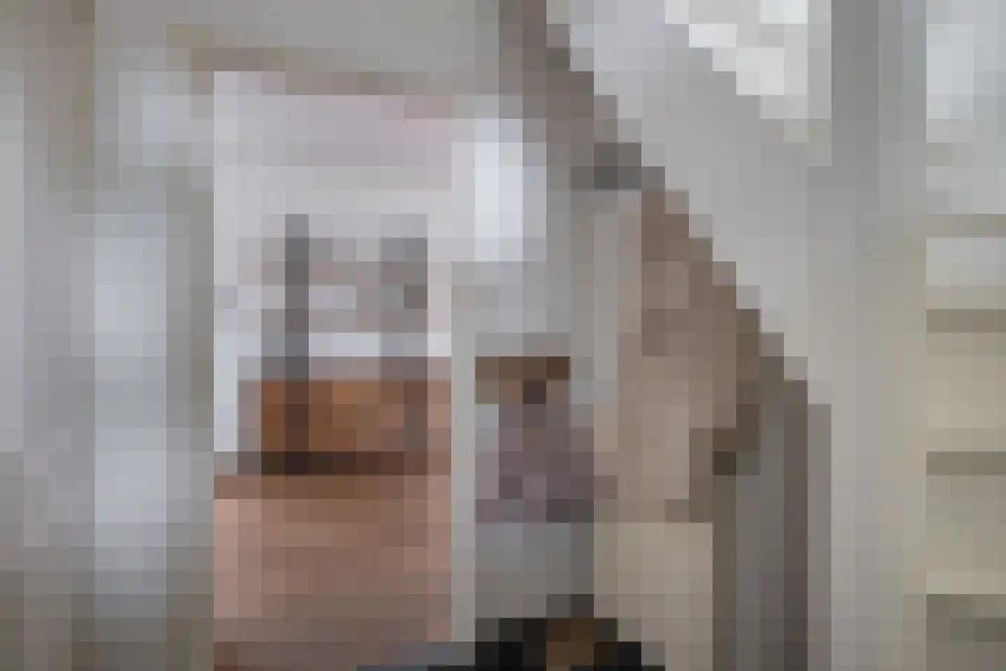 Flierstraat 4 Lage Zwaluwe thumbnail 8