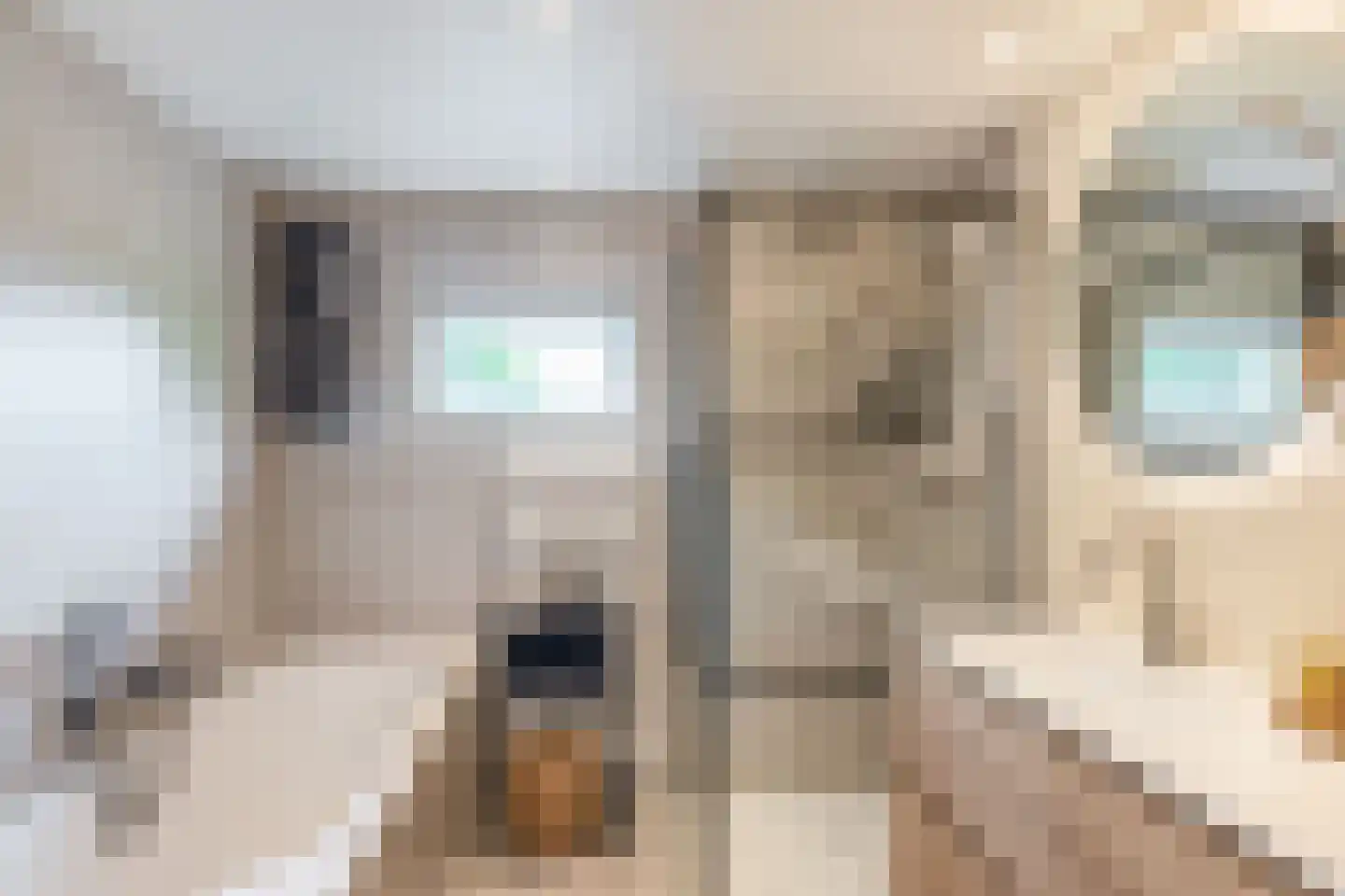 Flierstraat 49 Lage Zwaluwe thumbnail 15