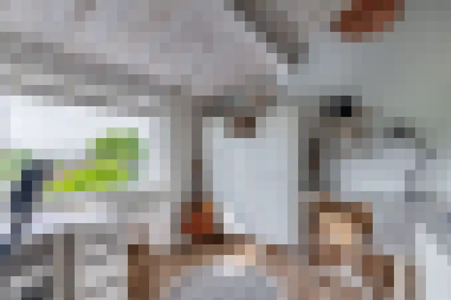 Flierstraat 49 Lage Zwaluwe thumbnail 22
