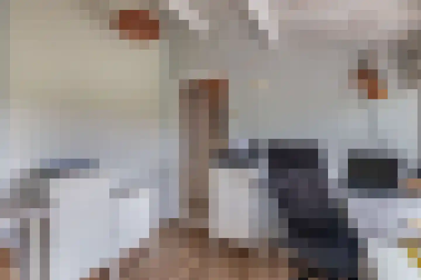 Flierstraat 49 Lage Zwaluwe thumbnail 23