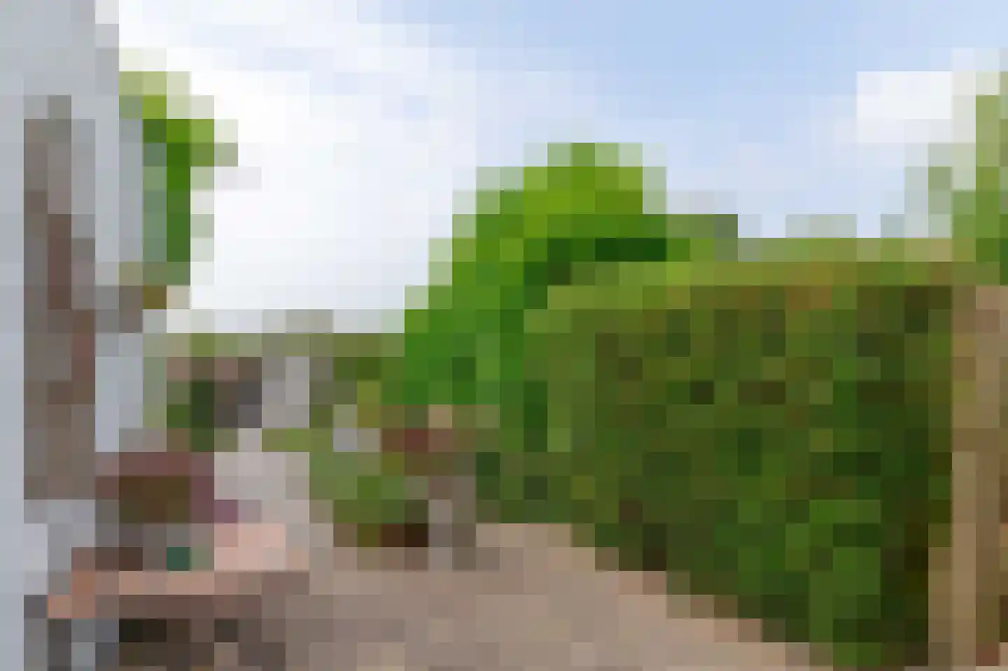Flierstraat 49 Lage Zwaluwe thumbnail 25