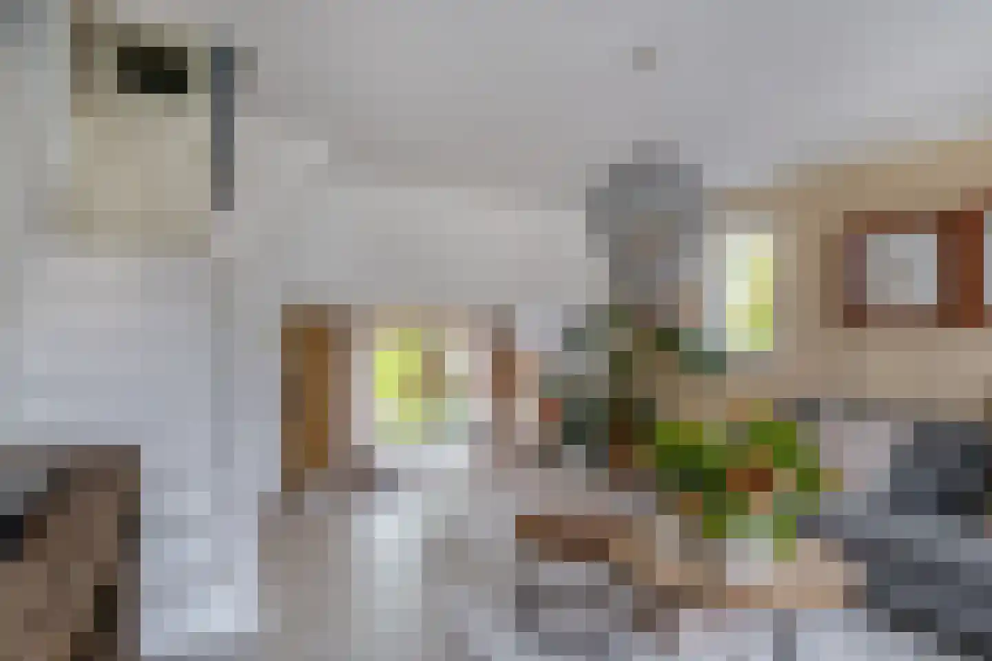 Flierstraat 49 Lage Zwaluwe thumbnail 8