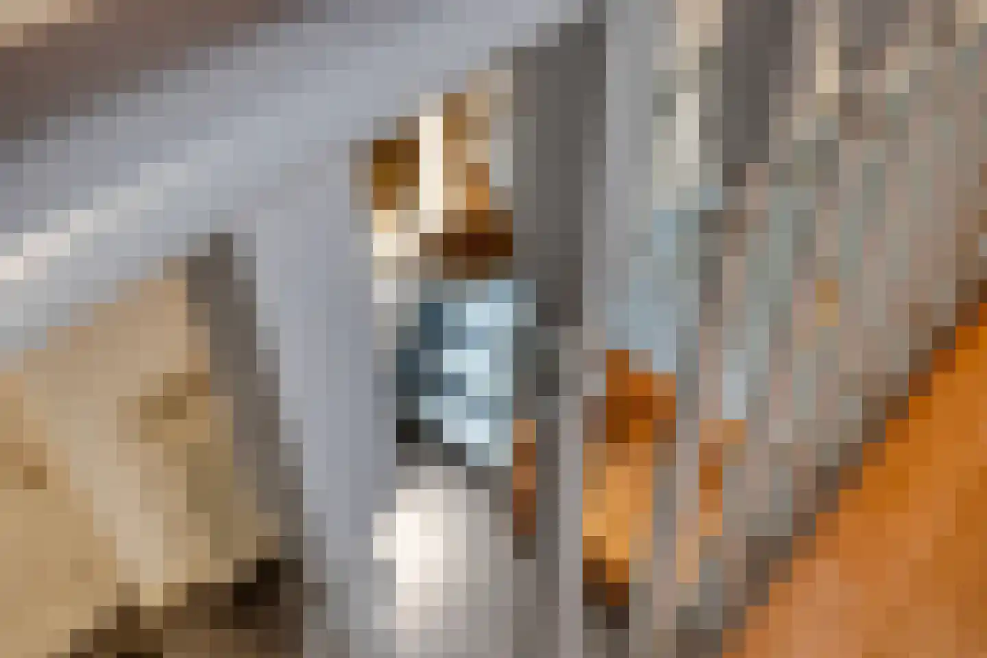 Flierstraat 81 E Lage Zwaluwe thumbnail 27