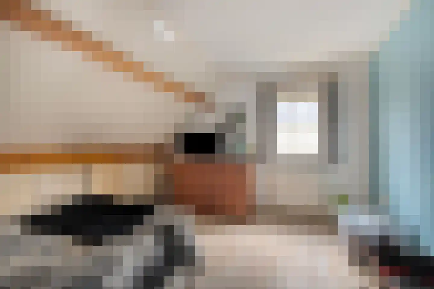 Flierstraat 81 E Lage Zwaluwe thumbnail 28