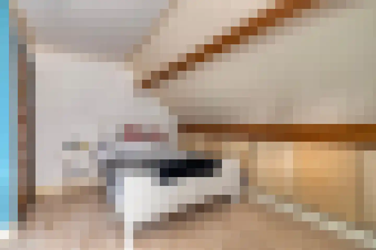 Flierstraat 81 E Lage Zwaluwe thumbnail 29