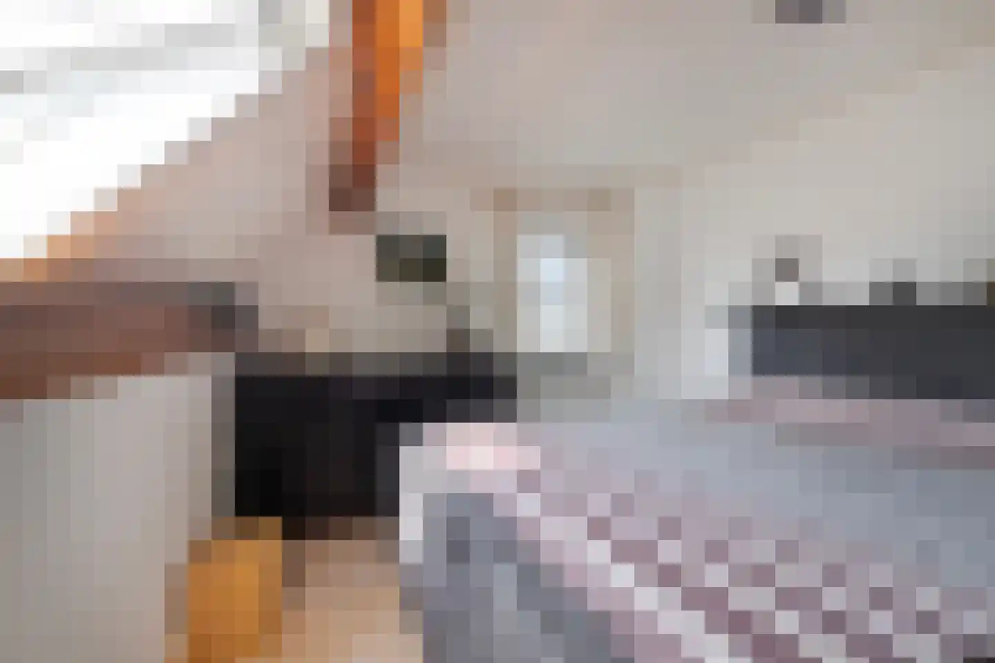 Flierstraat 81 E Lage Zwaluwe thumbnail 30