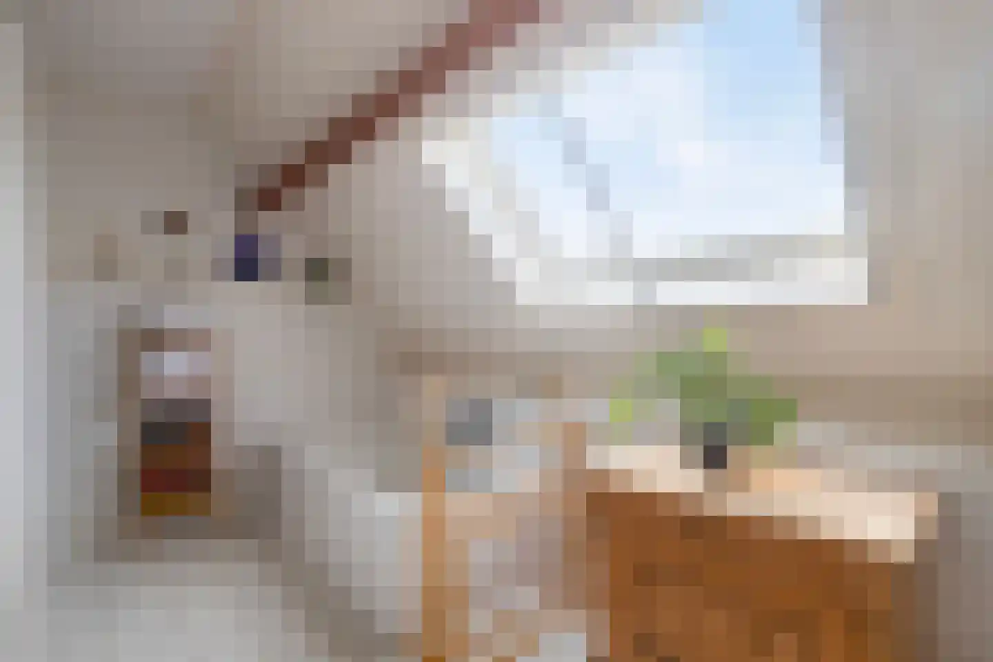 Flierstraat 81 E Lage Zwaluwe thumbnail 32