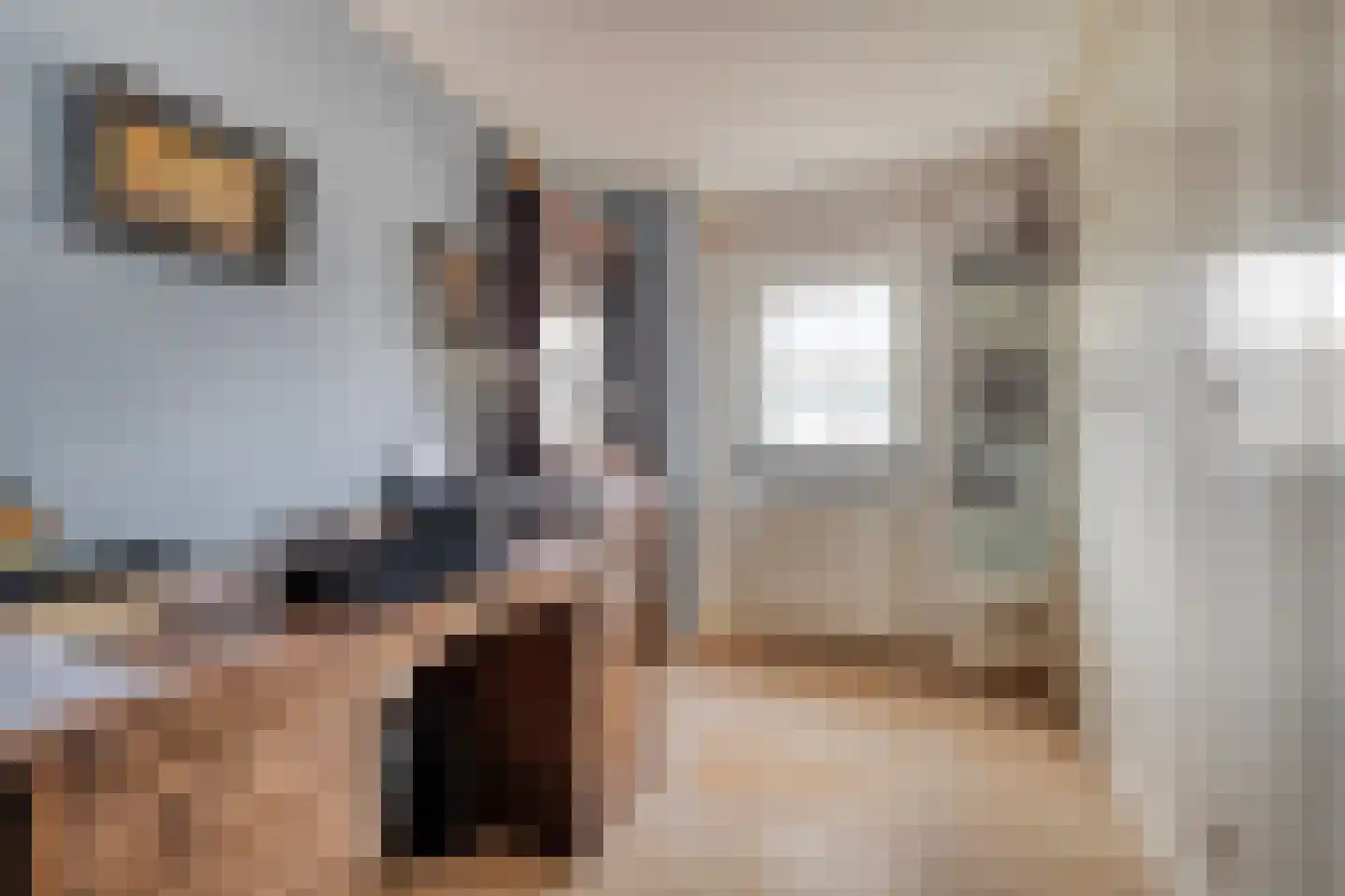 Flierstraat 81 E Lage Zwaluwe thumbnail 35