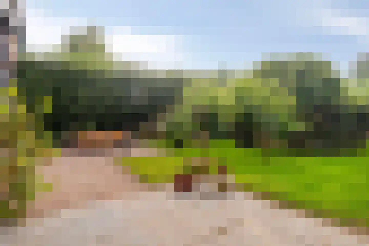 Flierstraat 81 E Lage Zwaluwe thumbnail 45
